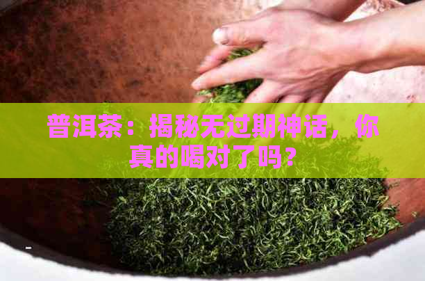 普洱茶：揭秘无过期神话，你真的喝对了吗？