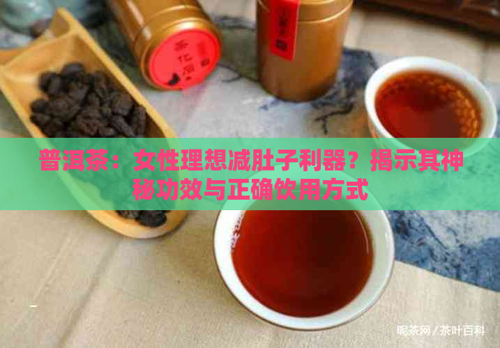 普洱茶：女性理想减肚子利器？揭示其神秘功效与正确饮用方式