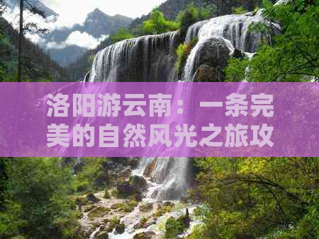 洛阳游云南：一条完美的自然风光之旅攻略