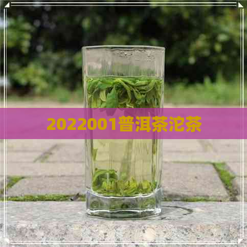 2022001普洱茶沱茶