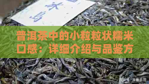 普洱茶中的小粒粒状糯米口感：详细介绍与品鉴方法