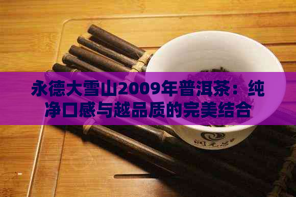 永德大雪山2009年普洱茶：纯净口感与越品质的完美结合