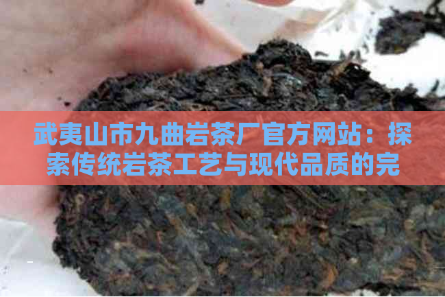 武夷山市九曲岩茶厂官方网站：探索传统岩茶工艺与现代品质的完美结合