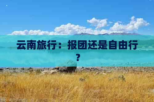 云南旅行：报团还是自由行？