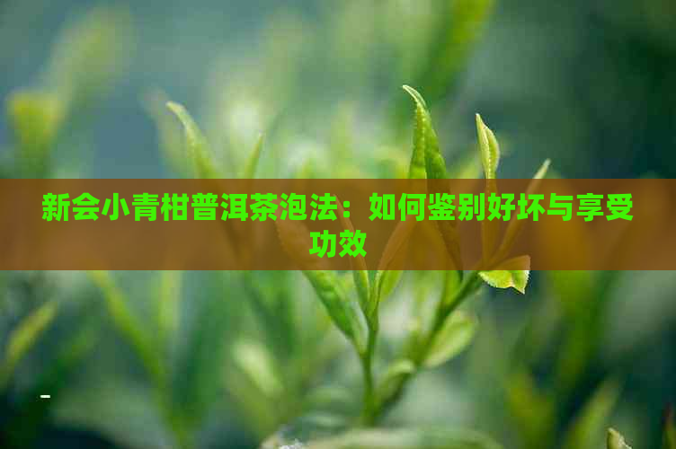 新会小青柑普洱茶泡法：如何鉴别好坏与享受功效