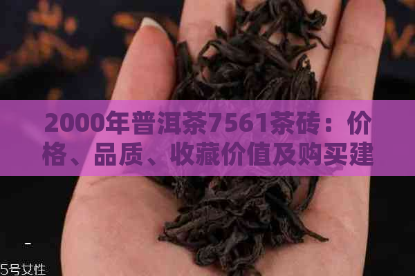 2000年普洱茶7561茶砖：价格、品质、收藏价值及购买建议全方位解析