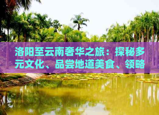 洛阳至云南奢华之旅：探秘多元文化、品尝地道美食、领略壮丽自然风光