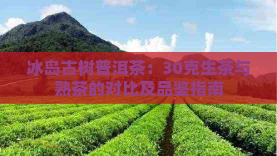 冰岛古树普洱茶：30克生茶与熟茶的对比及品鉴指南