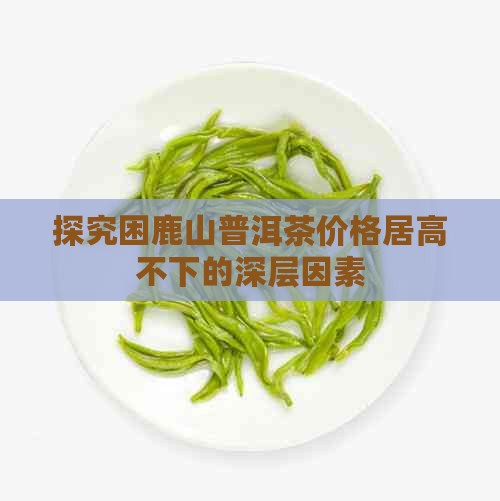 探究困鹿山普洱茶价格居高不下的深层因素