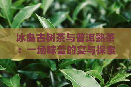 冰岛古树茶与普洱熟茶：一场味蕾的宴与探索