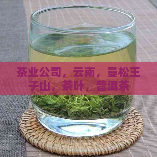 茶业公司，云南，曼松王子山，茶叶，普洱茶