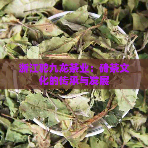 浙江驼九龙茶业：砖茶文化的传承与发展