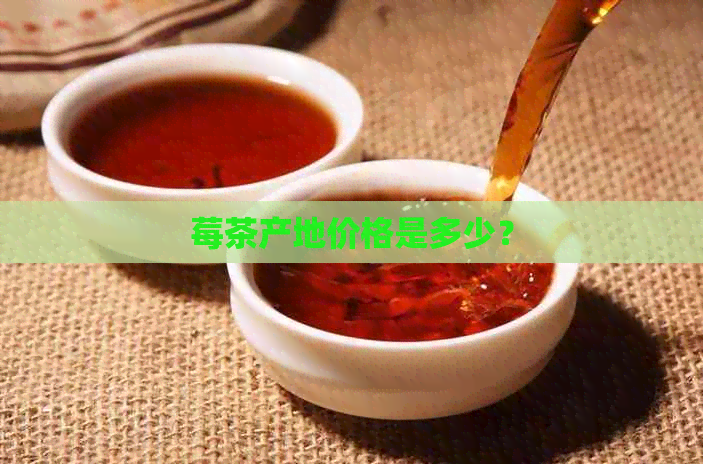 莓茶产地价格是多少？