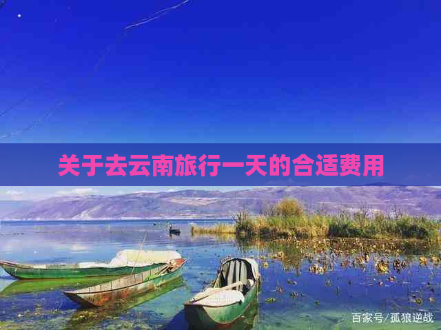 关于去云南旅行一天的合适费用