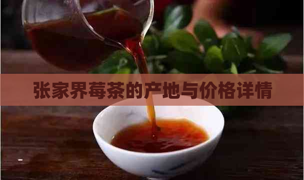 张家界莓茶的产地与价格详情