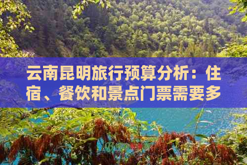 云南昆明旅行预算分析：住宿、餐饮和景点门票需要多少？