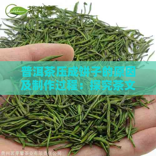 普洱茶压成饼子的原因及制作过程：探究茶文化中的传统智慧