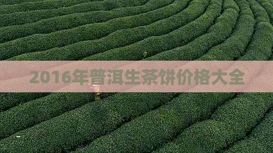 2016年普洱生茶饼价格大全