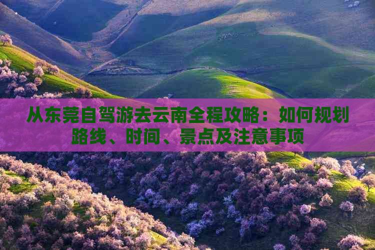 从东莞自驾游去云南全程攻略：如何规划路线、时间、景点及注意事项