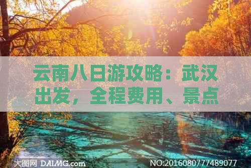 云南八日游攻略：武汉出发，全程费用、景点及行程详解