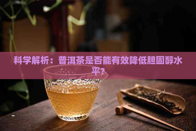 科学解析：普洱茶是否能有效降低胆固醇水平？