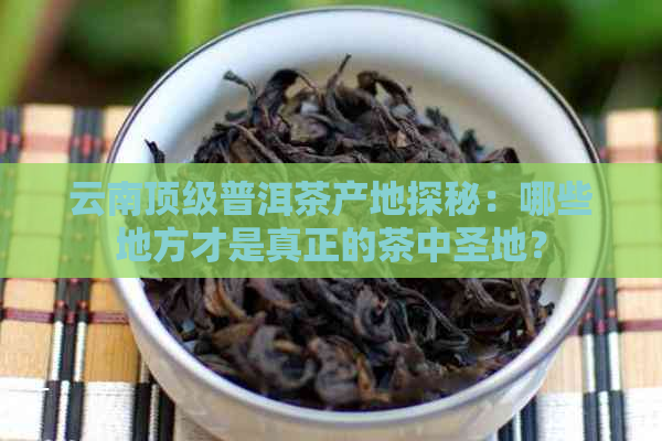 云南顶级普洱茶产地探秘：哪些地方才是真正的茶中圣地？