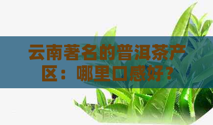 云南著名的普洱茶产区：哪里口感好？