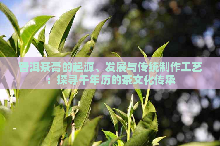 普洱茶膏的起源、发展与传统制作工艺：探寻千年历的茶文化传承