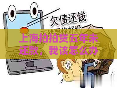 上海五年未还款，我该怎么办？逾期后果与解决方案全面解析