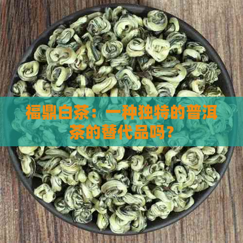 福鼎白茶：一种独特的普洱茶的替代品吗？