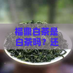 福鼎白茶是白茶吗？还是绿茶，红茶或黄茶？它是茶叶吗？