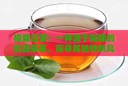 福鼎白茶：一种源于福建的优质茶系，探寻其独特的风味与功效