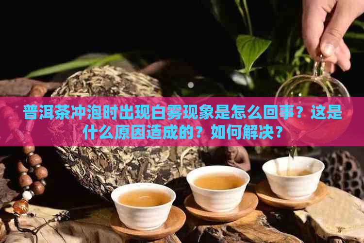 普洱茶冲泡时出现白雾现象是怎么回事？这是什么原因造成的？如何解决？