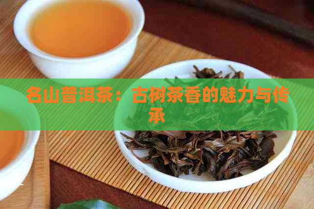 名山普洱茶：古树茶香的魅力与传承