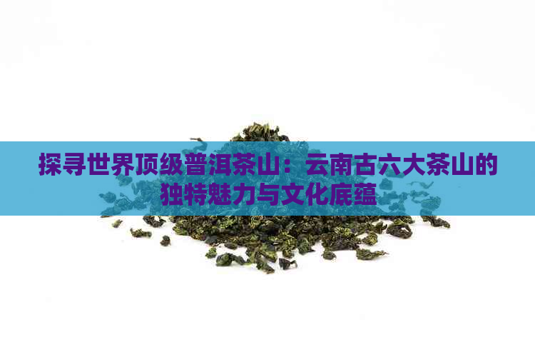 探寻世界顶级普洱茶山：云南古六大茶山的独特魅力与文化底蕴