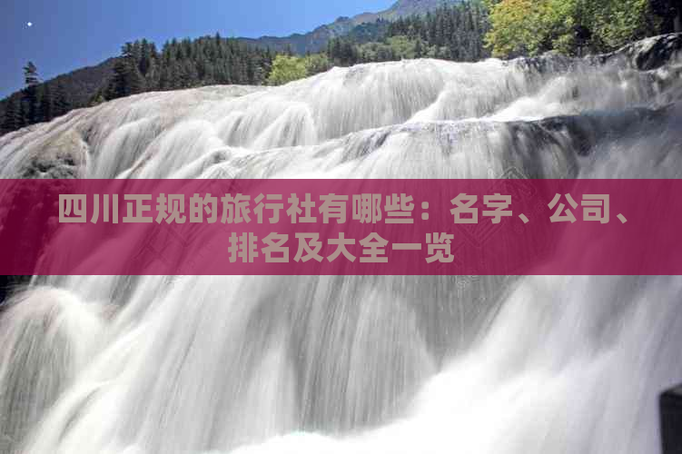 四川正规的旅行社有哪些：名字、公司、排名及大全一览