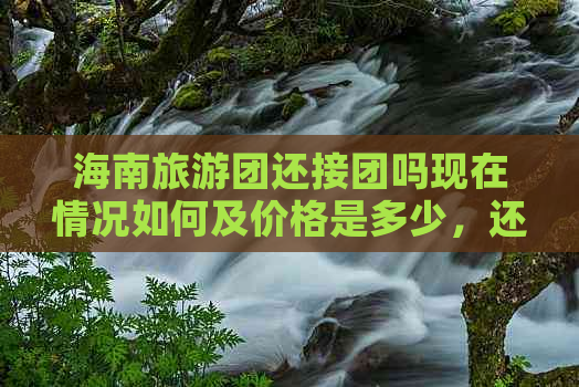 海南旅游团还接团吗现在情况如何及价格是多少，还有余位吗？