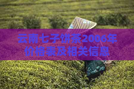 云南七子饼茶2006年价格表及相关信息