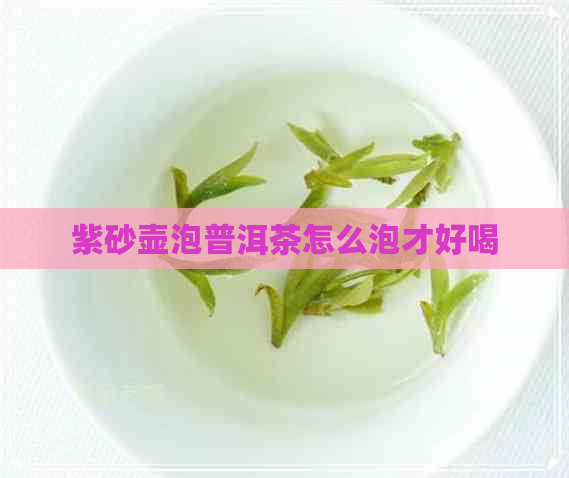 紫砂壶泡普洱茶怎么泡才好喝