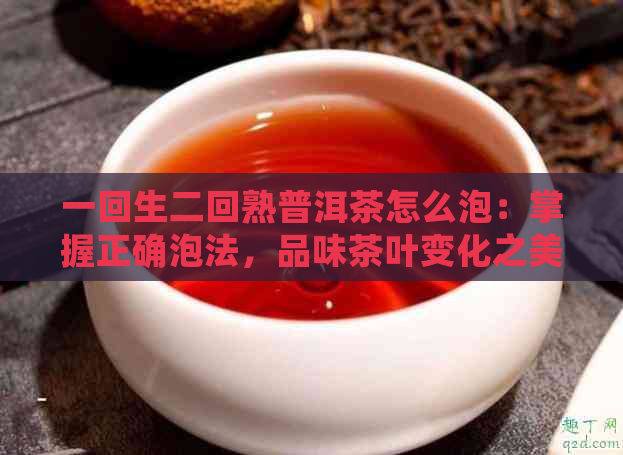 一回生二回熟普洱茶怎么泡：掌握正确泡法，品味茶叶变化之美