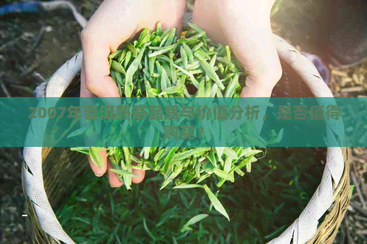 2007年普洱熟茶品质与价值分析，是否值得购买？