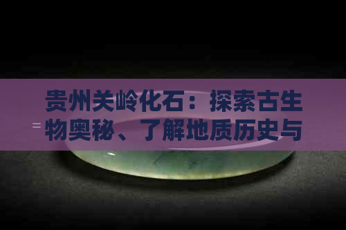 贵州关岭化石：探索古生物奥秘、了解地质历史与生态环境的全方位指南