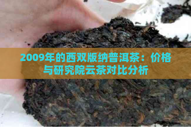 2009年的西双版纳普洱茶：价格与研究院云茶对比分析