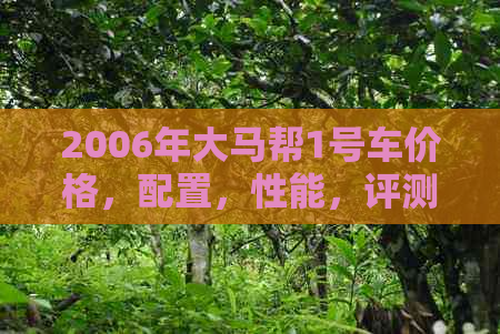 2006年大马帮1号车价格，配置，性能，评测，二手车市场分析