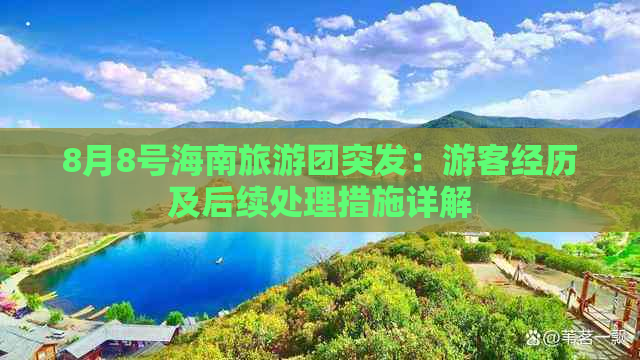 8月8号海南旅游团突发：游客经历及后续处理措施详解