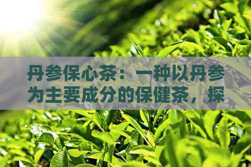 丹参保心茶：一种以丹参为主要成分的保健茶，探讨其功效与作用