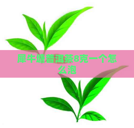 犀牛塘普洱茶8克一个怎么泡