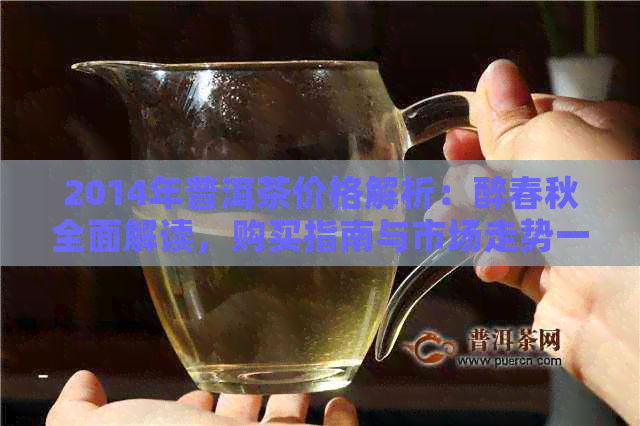 2014年普洱茶价格解析：醉春秋全面解读，购买指南与市场走势一网打尽