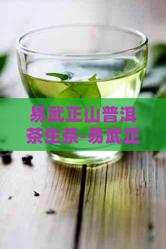 易武正山普洱茶生茶-易武正山普洱茶生茶价格