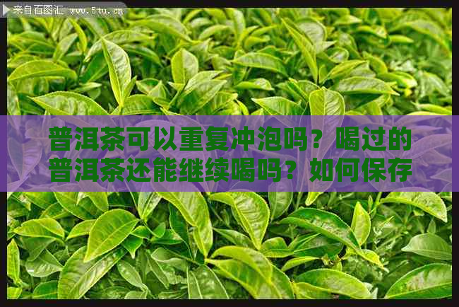 普洱茶可以重复冲泡吗？喝过的普洱茶还能继续喝吗？如何保存喝过的普洱茶？